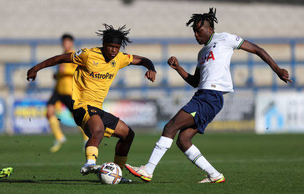 不仅体现了 不仅体现了